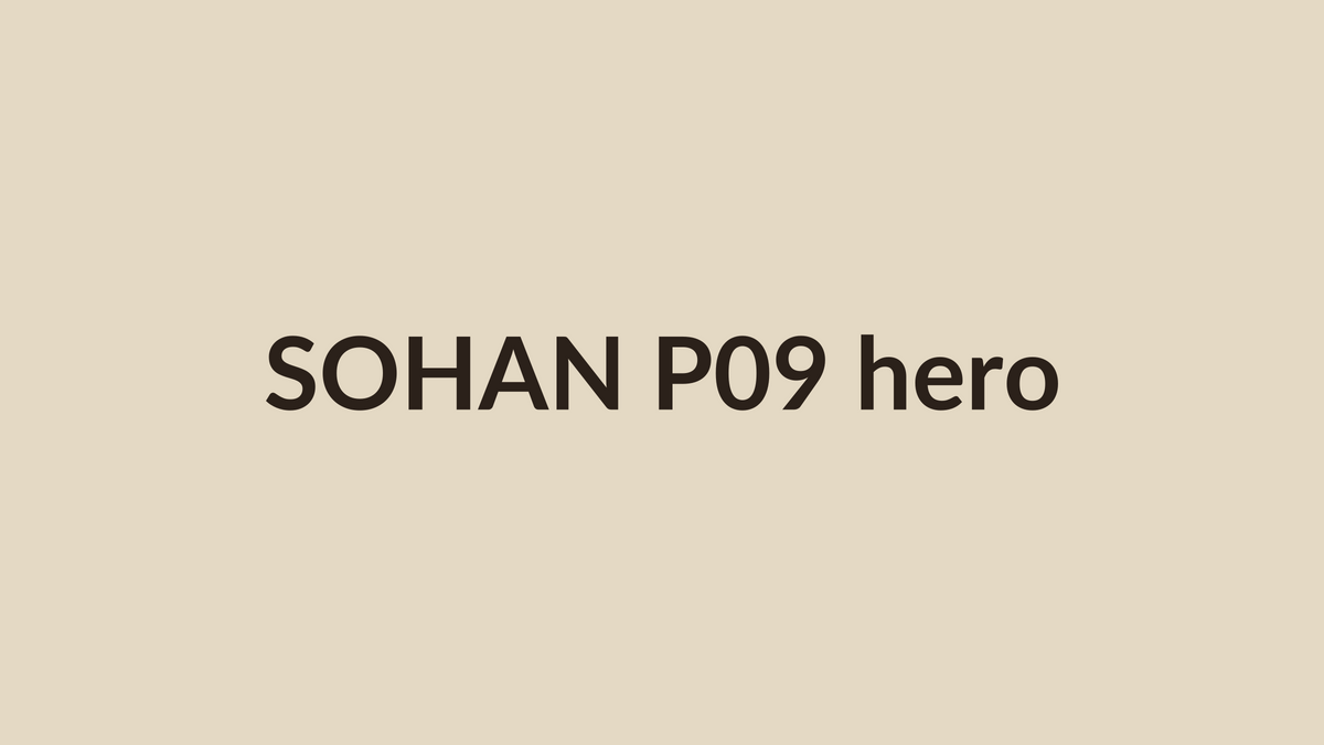 Placeholder. Replace with the SOHAN hero plate for this article.